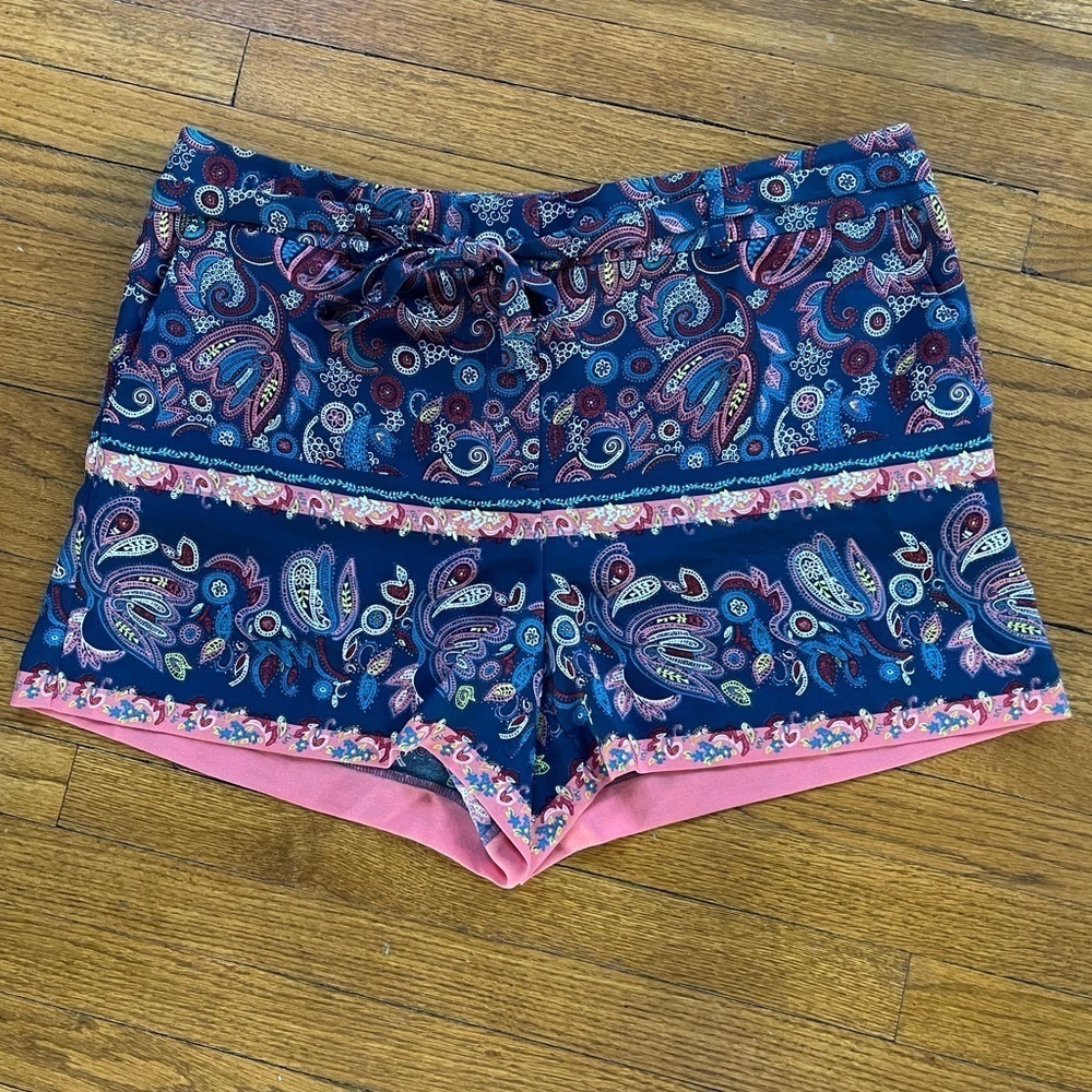 LOFT Shorts 12